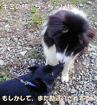 a0009750_1056317.jpg