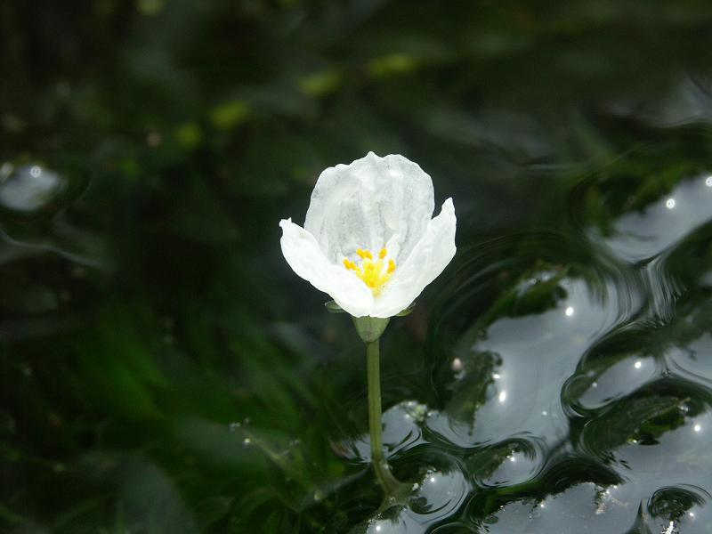 b0039226_6465340.jpg