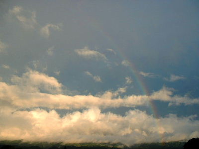 b0015260_17293791.jpg
