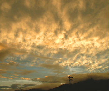 b0015260_19155743.jpg