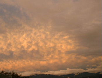 b0015260_19174217.jpg