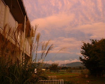 b0015260_19191291.jpg