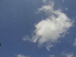 a0018745_12173187.jpg