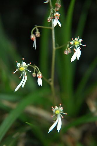 b0021897_09415.jpg