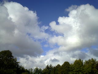 a0030714_7234432.jpg