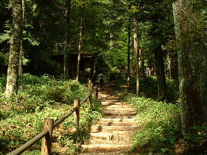 b0015260_13324663.jpg