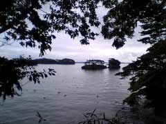 b0037179_2357399.jpg