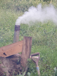 b0001656_2047033.jpg