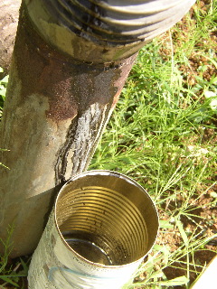 b0001656_21122154.jpg