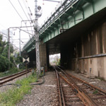 a0032361_11333665.jpg