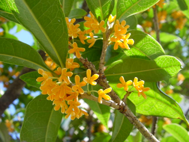 a0031000_9245317.jpg