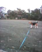 a0013905_23371694.jpg
