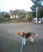 a0013905_2342312.jpg