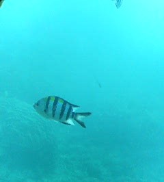 a0031948_2185355.jpg