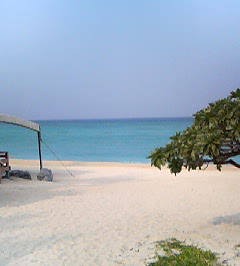 a0031948_219980.jpg