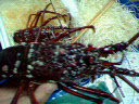 b0014464_2124485.jpg