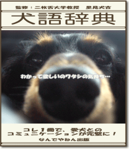 b0016976_1149529.gif
