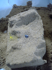 b0007483_14322395.jpg