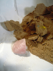 b0007483_1434169.jpg