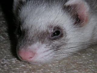 a0018200_18222485.jpg
