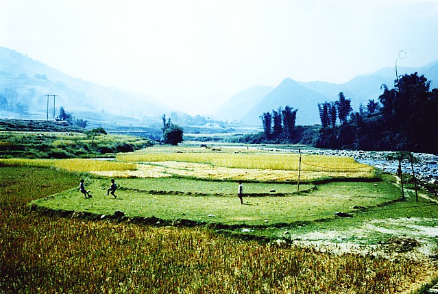 b0026633_004565.jpg