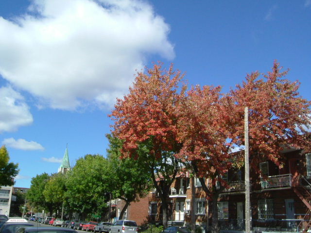 b0031778_11214298.jpg