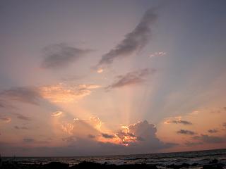b0001980_4505318.jpg