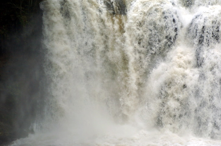 a0020184_7344320.jpg