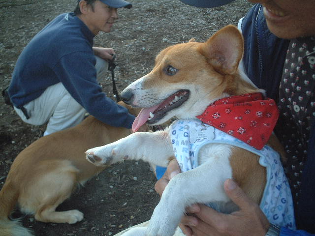 a0024004_21543040.jpg
