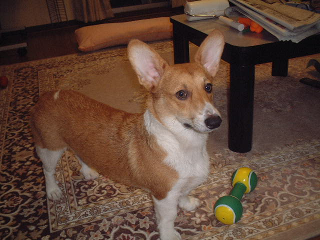 a0024004_21553965.jpg