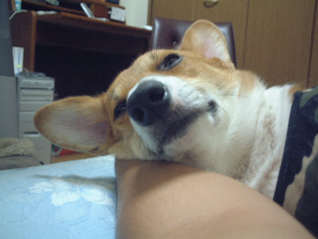 a0024004_21562919.jpg