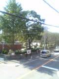b0021311_10322066.jpg