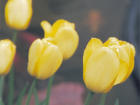 b0023824_22423991.jpg