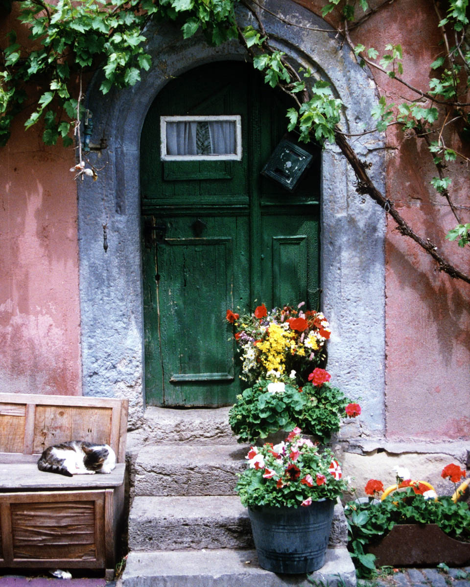 b0022138_8384164.jpg