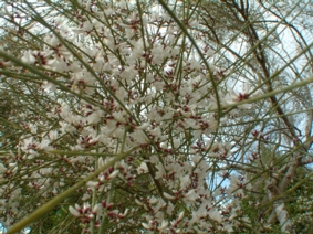 b0024339_22224434.jpg