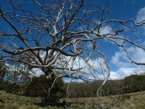 b0024339_2304398.jpg