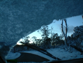 b0024339_23522211.jpg