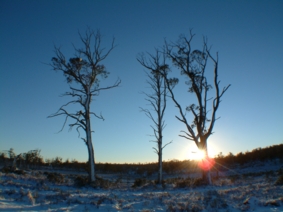 b0024339_2354063.jpg