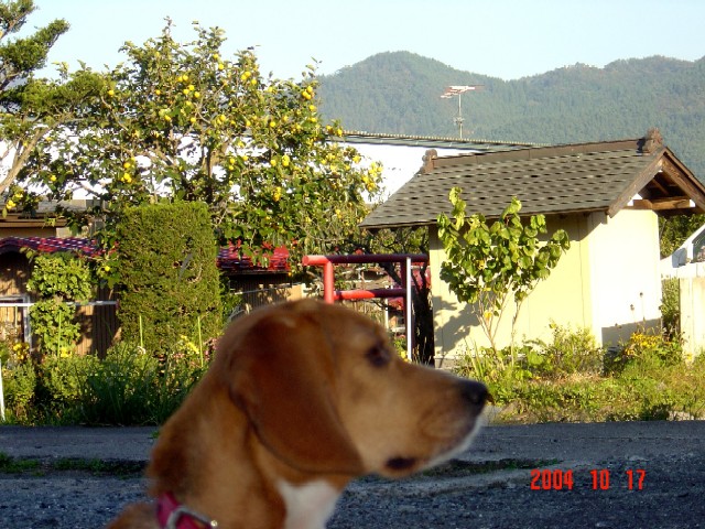 a0005691_19505094.jpg