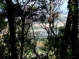a0037624_9271350.jpg
