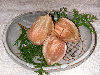 b0035533_212323.jpg