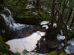 b0024339_05911.jpg