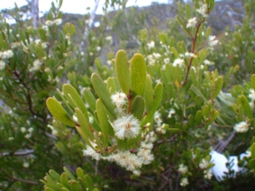 b0024339_12959.jpg
