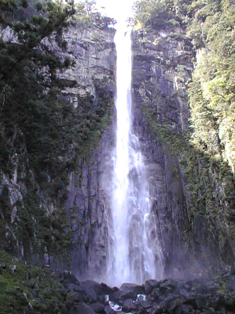 b0002156_1491820.jpg