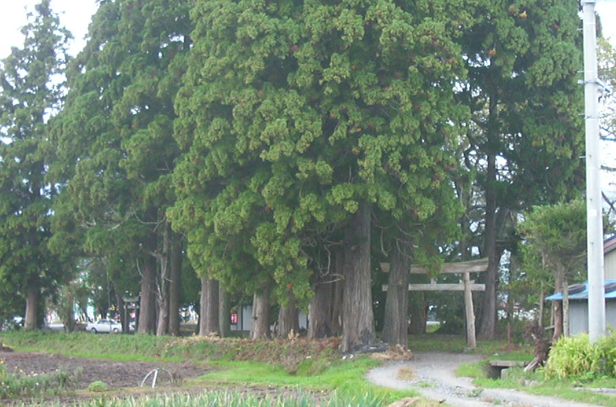 a0029157_1433481.jpg
