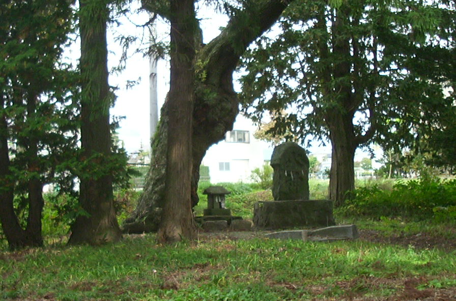a0029157_14352844.jpg