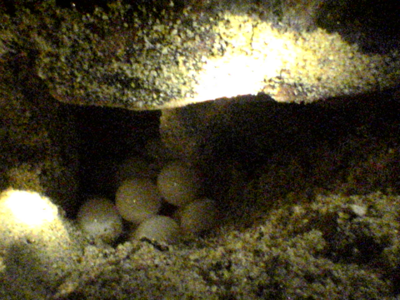 b0047958_1804510.jpg