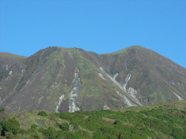 a0028482_1716523.jpg