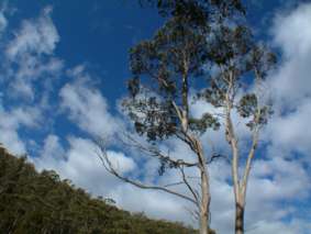 b0024339_18534344.jpg