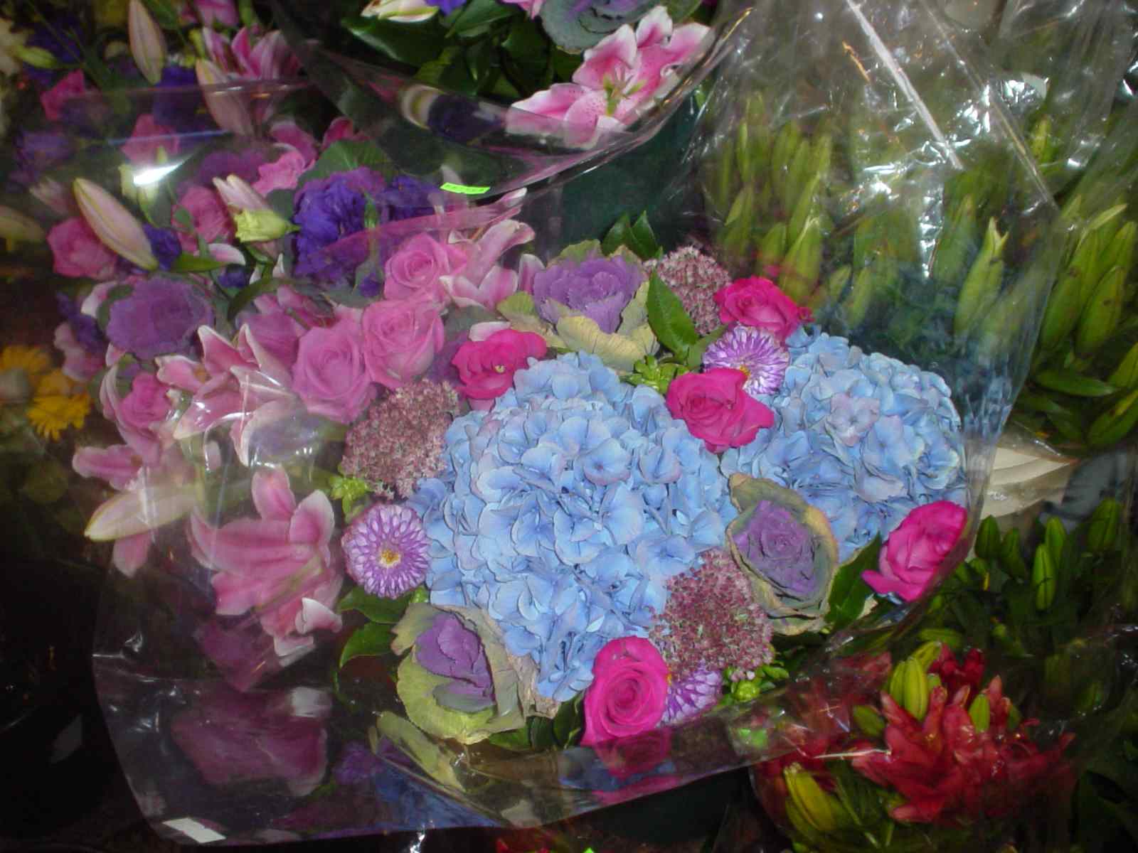 b0045472_11431642.jpg